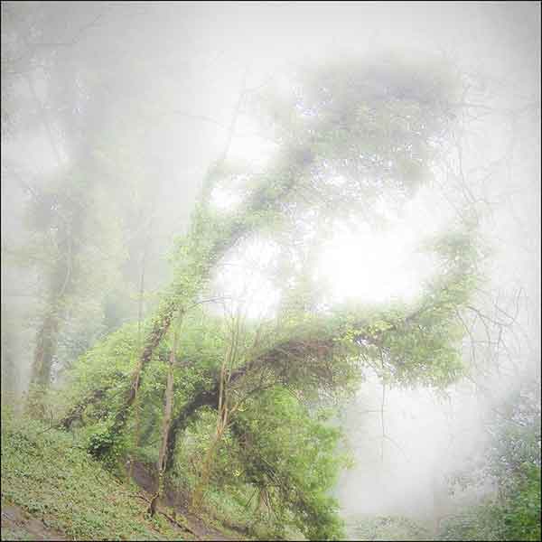 mist
